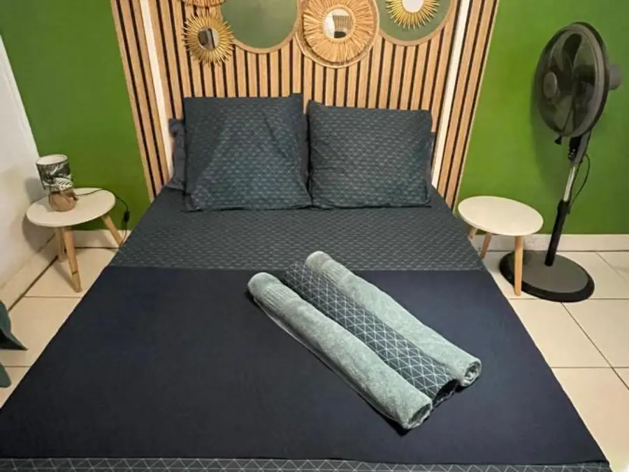 Chambre Double : mur vert, tête de lit en tasseaux de bois et appliques
