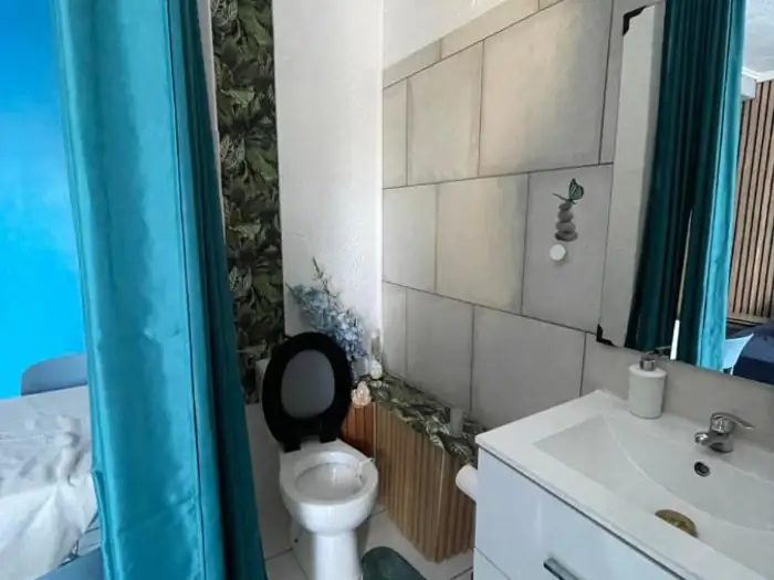Salle d'eau : vasque, miroir et WC